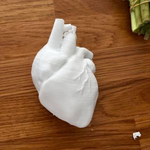 Wymarzone serce wydrukowane na drukarce 3d